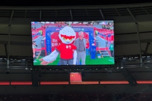 上海海港赛前官宣吉祥物：伊戈，形象为白色雄鹰